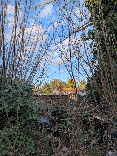 A view through dense, leafless shrubbery and small trees showing a partially obscured, weathered wooden fence in the background. The foreground consists of tangled branches and green ivy foliage, with a few dry twigs and stems visible. Above, the sky is partly cloudy with patches of blue and white clouds, suggesting a clear day. The scene appears to be part of a garden or outdoor area needing clearance, with a natural, slightly overgrown appearance typical of spaces managed by private waste removal services such as Rubbish Clearance Brent. The environment reflects an outdoor setting where overgrown vegetation may require trimming or debris removal, aligned with independent waste disposal or rubbish collection activities.